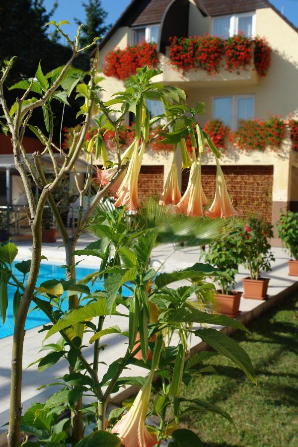 Alfa Hotel & Wellness Miskolctapolca Extérieur photo